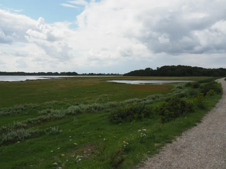 Halshuisene + Enebaerodde Beach (Denemarken)